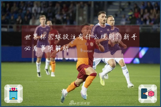 世界杯买球投注有什么规则？新手必看事项解析