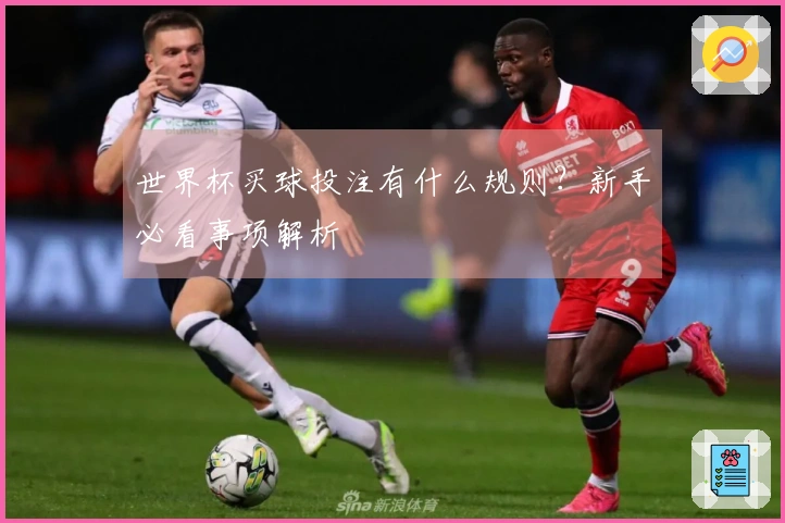 世界杯买球投注有什么规则？新手必看事项解析