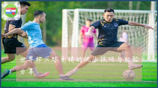世界杯买球竞猜的玩法技巧与经验分享