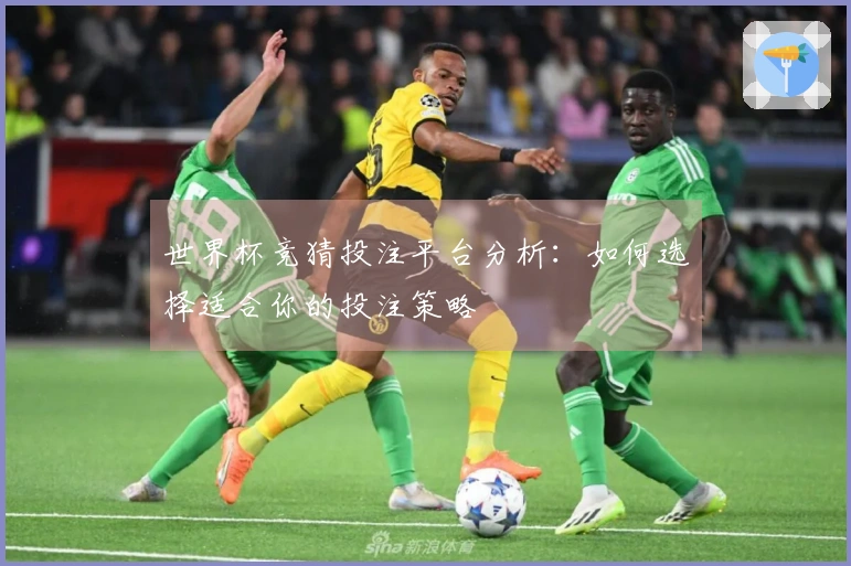 世界杯竞猜投注平台分析：如何选择适合你的投注策略