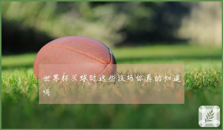世界杯买球时这些技巧你真的知道吗